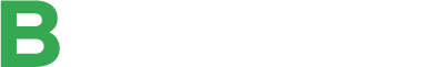 Boien Reyes Logo